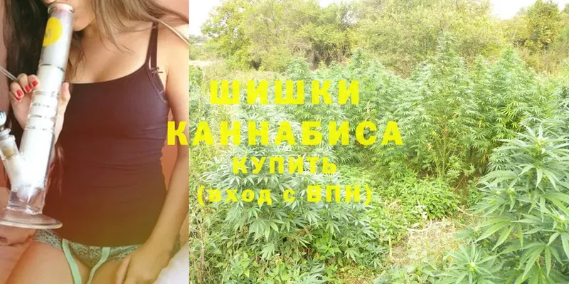 mega ТОР  как найти наркотики  Ардатов  Шишки марихуана LSD WEED 